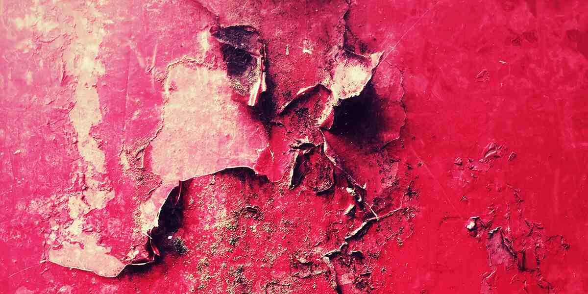 What Causes Paint to Blister on Cars and How Do Pros Fix It?